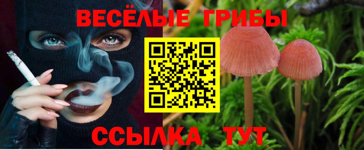 Псилоцибиновые грибы прущие грибы  где найти наркотики  Владивосток  Вход с VPN 